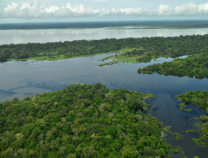 Ubicado en la Amazonía colombiana es uno de los mejores lugares para avistar los delfines rosados que habitan en las cuencas de los diferentes ríos de la región. Bosques espesos y un clima tropical hacen parte de su encanto.