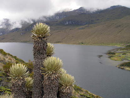 El lago del Otún está ubicado en el Parque Nacional Natural Los Nevados, en Risaralda. Se encuentra a unos 3.950 m.s.n.m. y tiene una extensión aproximada de 1.5 kilómetros cuadrados.