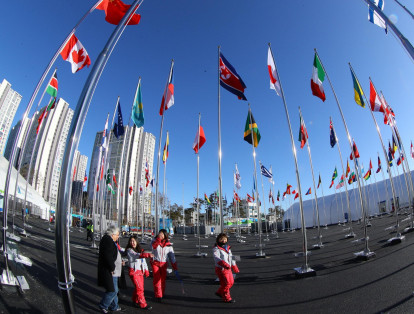 Deportistas de la delegación norcoreana ya llegaron a Corea del Sur, donde se celebrarán los Juegos Olímpicos de Invierno, a partir del 9 de febrero. En el país del Sur es ilegal ondear la bandera del Norte, pero para estos eventos se hizo una excepción.
