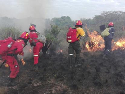 De acuerdo con los bomberos de la zona, el jueves se habían quemado unas 400 hectáreas, pero por los fuertes vientos que se presentaron por la noche, el fuego se extendió a la parte alta.