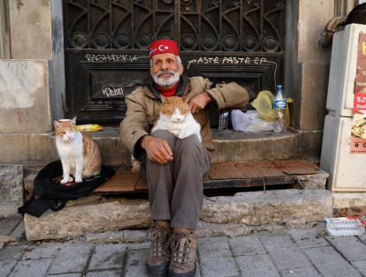 Tampoco es inusual ver a los gatos jugar con los clientes de un restaurante, con la esperanza de un lugar cómodo para descansar y la oportunidad de tomar un trozo de comida. Fotos: Goran Tomasevic / Reuters