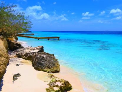 Bonaire. El patrimonio subacuático de esta isla está permanentemente controlado por el Bonaire Marine Park. En Bonaire hay reglamentaciones que protegen toda la vida de su Parque Marino en las cercanías de la costa.