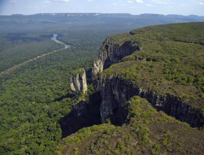 3. Las Guyanas y el Amazonas: Es la selva tropical más grande del mundo y representa el 4,9 % del área continental del planeta. Además, es el hábitat del 10 % de la biodiversidad conocida hasta ahora entre animales y plantas. Según la WWF, el Amazonas podría perder el 69% de sus especies de plantas especialmente por la deforestación.