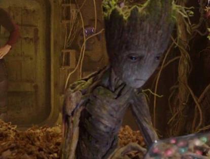 Groot aparecerá en la película. Es el ‘Monarca del planeta X’ y como poderes tiene la habilidad de absorber madera, controlar la naturaleza y es resistente al fuego. Vin Diesel es el encargado de la interpretación de este personaje.