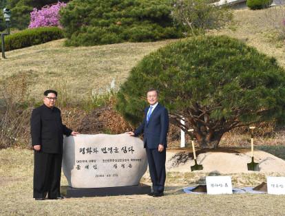 Durante la tarde, Kim y Moon posaron frente a una piedra con la inscripción "se ha plantado la paz y la prosperidad", tras haber sembrado un árbol junto a la zona fronteriza que marca la división entre las dos Coreas.