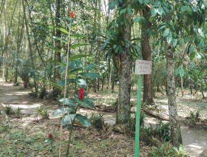 En Quindío se encuentra el Parque agro ecológico La Tierra prometida. Cuenta con un bosque tropical y áreas dedicadas a la agricultura cafetera. La comida que se ofrece está únicamente realizada con productos cultivados en el parque.