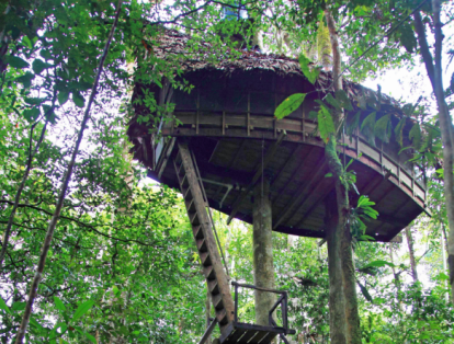 En la Reserva Natural Tanimboca, cerca de Leticia, y en el Parque Natural Chicaque, en Cundinamarca, se puede dormir en la copa de los árboles. Estos destinos ofrecen una especie de cabañas de madera, construidas a 12 metros del piso, las cuales están perfectamente equipadas.