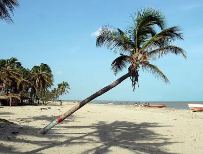 Camarones es un corregimiento ubicado a 17 kilómetros de Riohacha. El clima es seco y la temperatura varía entre los 28 y 45 grados centígrados. Sus playas son de arena blanca y poco concurridas, lo que hace que el lugar sea especial para relajarse y disfrutar de un gran atardecer.