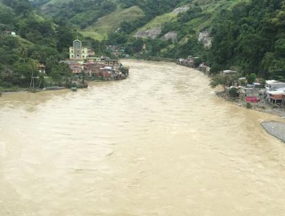 Así está, en este momento, el Río Cauca a su paso por Puerto Valdivia.