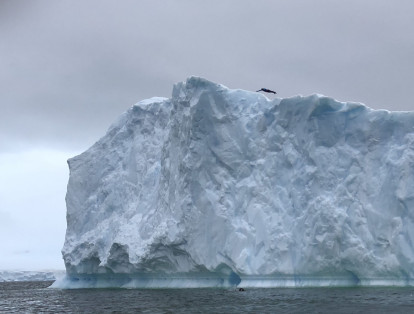Saltar desde un iceberg no es fácil porque es un bloque de hielo totalmente resbaloso. Yo tenía que buscar algo de agarre, así que hacía huecos, como hielo picado, para poderme parar. Pero eso se volvía a congelar muy rápido.