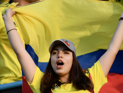 Hinchas de la Selección Colombia.