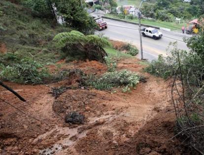 Diez municipios afectados y más de 5.000 millones de pesos en pérdidas han dejado las lluvias de las últimas semanas a los agricultores del Valle. Los cultivos más afectados son el café, el plátano, las frutas y algunas hortalizas.