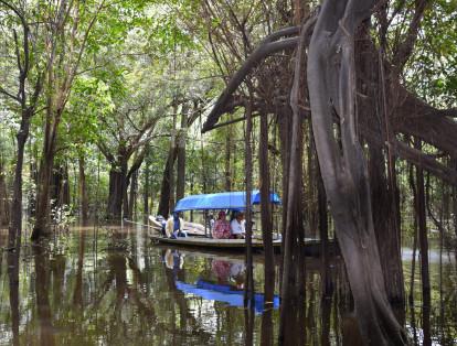 Uno de los atractivos turísticos más bellos de la Amazonia en aguas altas, son los parajes del bosque inundable. El silencio al interior, las formas de las raíces y la vegetación, hacen de estos recorridos una experiencia de solaz inolvidable.