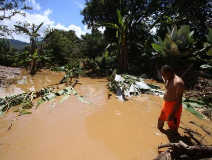 En los 30 años que lleva Agoardo Barbosa, nunca había visto una inundación semejante. Él y su familia perdieron cultivos de plátano y yuca.