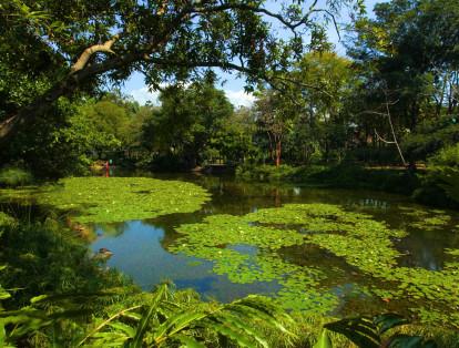 El Jardín Botánico también tiene abiertas sus puertas para las personas que buscan estar en contacto con la naturaleza.