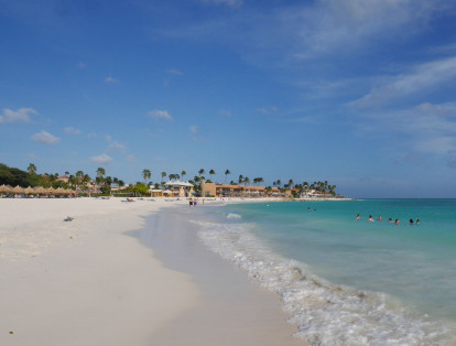 Playa Palm Eagle, Aruba: