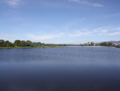El humedal Juan Amarillo, el más grande de Bogotá, con 222,76 hectáreas, en las localidades de Suba y Engativá. Es hábitat de plantas acuáticas y aves como tinguas, garzas, monjitas y el patico zambullidor.