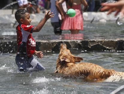 Personas y mascotas disfrutan de las fuente de agua pública