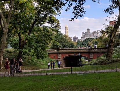 Vista del emblemático Central Park en Nueva York bajo el lente del Pixel 3XL.
