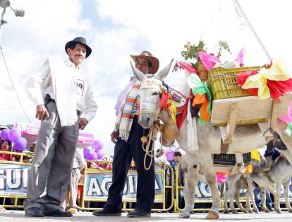 En Semana Santa el burro es el protagonista en San Antero, Córdoba. Durante este evento disfrazan a estos animales y participan en danzas y comparsas y cuenta con un reinado en el que eligen al rey y reina de la actividad.