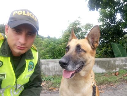 pike era un Pastor Belga con 10 años de edad y con el mismo tiempo trabajando para la Policía, creció al lado de los guías caninos de la Dirección de Carbineros de la institución, llegó el 5 de enero del año 2018 a laborar en Policía Antioquia.