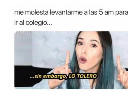 Feliz Día Internacional de la Mujer 2018: Los Memes más graciosos