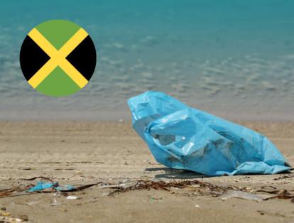 Jamaica: Desde el primero de enero de 2019, el gobierno dio orden a las empresas de embargar bolsas plásticas. Se estudian mecanismos para compensar otras formas de empaque. Daryl Vaz, ministro jamaiquino de Crecimiento Económico y Creación de Empleos, indicó que la medida también se extienda a "productos de poliestireno expandido usado para la industria de alimentos y bebidas".