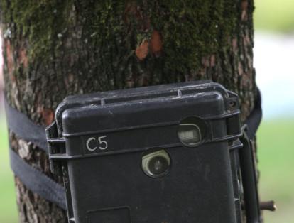 En 2004, la Fundación Procat comenzó a utilizar cámaras trampa para el monitore de especies de fauna como el puma y el oso de anteojos. Las primeras cámaras utilizadas funcionaban con rollo y podían tomar cerca de 36 fotos.