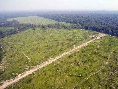 La Amazonia es destruida por la minería ilegal, que contamina los ríos con mercurio, cianuro y otras sustancias, y acaba con peces, anfibios, reptiles, mamíferos y aves.