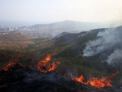 Más de 60 hectáreas consumidas en 30 horas de conflagración. Los fuertes vientos y la complejidad del terreno empinado no ha permitido controlar este incendio.