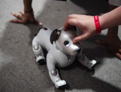 Aibo Policía, el perro robótico de Sony, llegó a SXSW para interactuar con los asistentes. La mascota artificial puede "patrullar" por la casa y mantener un seguimiento de hasta 10 personas, realizando así tareas de mascota "policía".