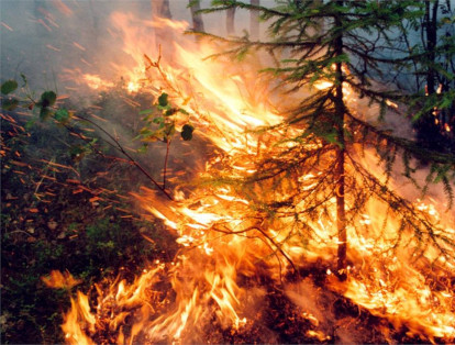 Los ecologistas temen un "desastre" por los incendios que arrasan millones de hectáreas de bosque en Siberia desde hace semanas,  y que amenazan con acelerar el deshielo del Ártico.