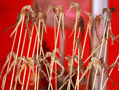 Caballitos de mar - China

Los caballitos de mar se comen en el país asiático en pinchos y se fritan. Estos suelen estar ubicados en puestos de la calle en los que también venden estrellas de mar, escorpiones, serpientes y gusanos fritos.