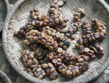 Kopi Luwak - Indonesia

Descrito como el café más rico del mundo, además de ser el más caro, se prepara tomando los granos de café de la excremento de la civeta de palmera asiática, un tipo de roedor.