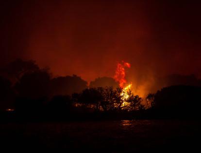 Al menos ocho personas han muerto en los incendios forestales de Turquía, confirmó el Ministerio de Salud.