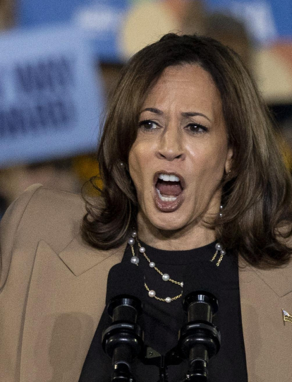 La vicepresidenta Kamala Harris en un acto de campaña en Georgia.