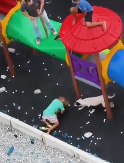 Dos niños fueron atacados por dos perros pitbulls mientras se encontraban jugando en un parque en Brasil
