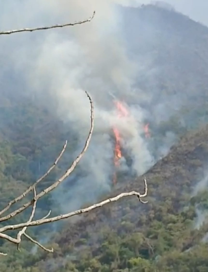 Incendios en el Tolima