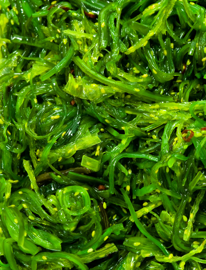 Alga wakame