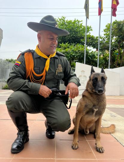 killer, perro pastor alemán antinarcóticos