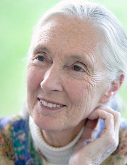 Jane Goodall.