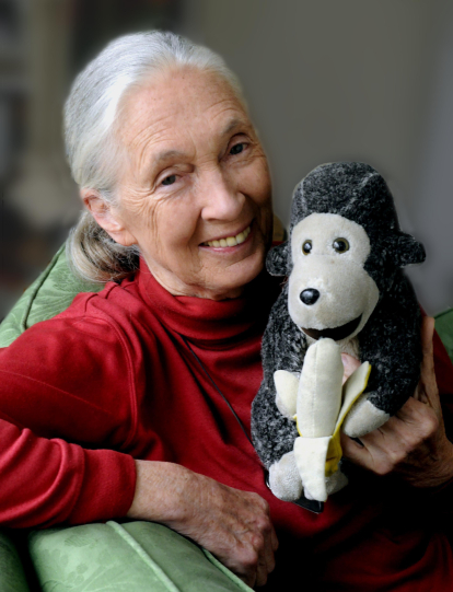 Dr. Jane Goodall, DBE, UN Messenger of Peace with her mascot Mr. H