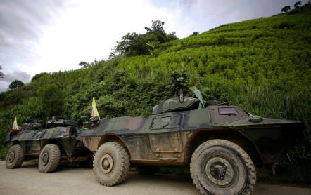 Tanquetas del Ejército, en medio de las montañas del Micay con coca.