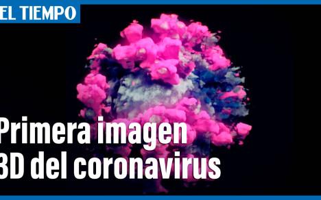 Primera foto 3D del coronavirus ¿Lo habías visto?