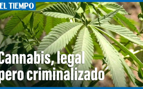 Cannabis en México, ¿legalización a medias?