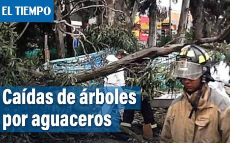 Las localidades más afectadas fueron Rafael Uribe Uribe y Engativá. En los primeros seis días de marzo, van 22 emergencias por árboles.