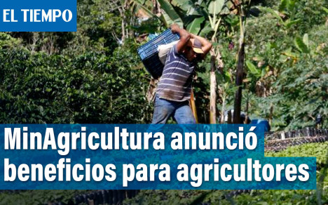 MinAgricultura, entregará subsidios a 120.000 agricultores