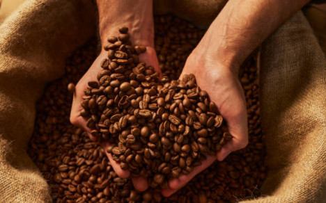 Los granos de café serían ricos en antioxidantes.
