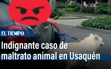 Cámaras de seguridad grabo hecho de maltrato animal en Usaquén
