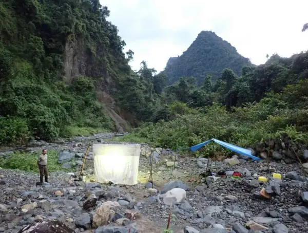 La expedición se realizó en Makira, el bosque más grande e intacto de Madagascar.